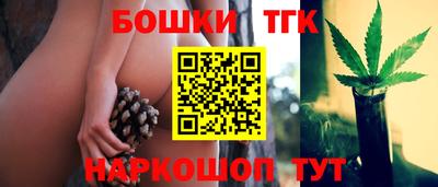 молекула духа Шахты