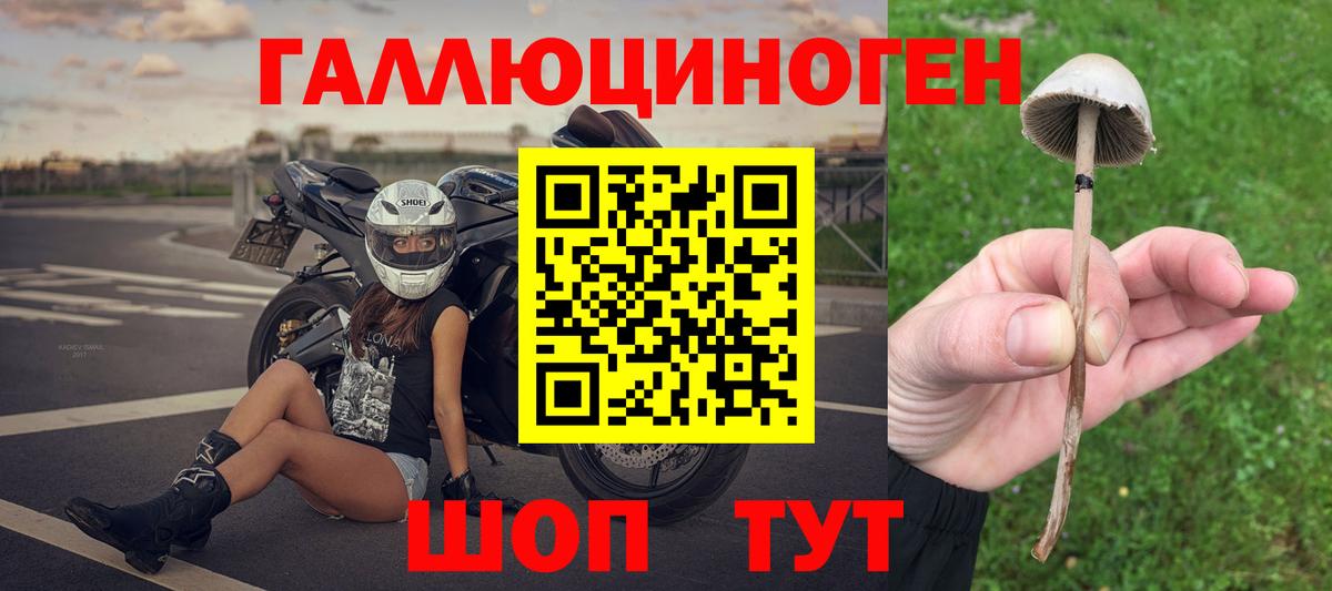 Галлюциногенные грибы мицелий  Вход с VPN  Галлюциногенные грибы Cubensis  Лангепас 